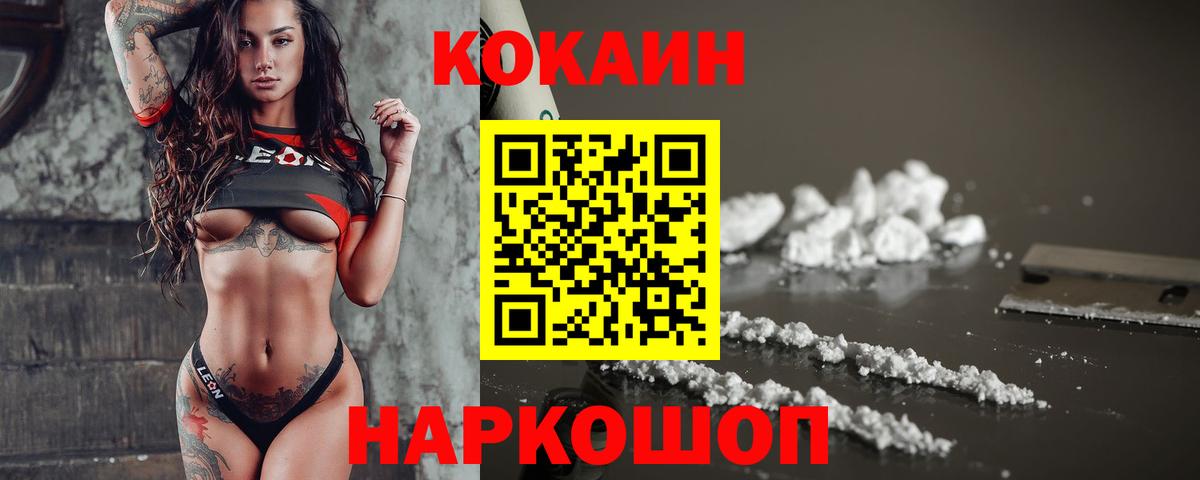 Cocaine Fish Scale  Вход с VPN  Cocaine  Новоалтайск 