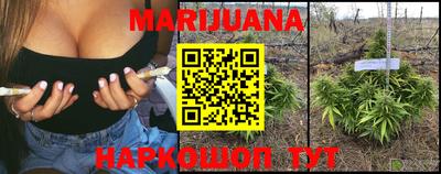 прущие грибы Тверь