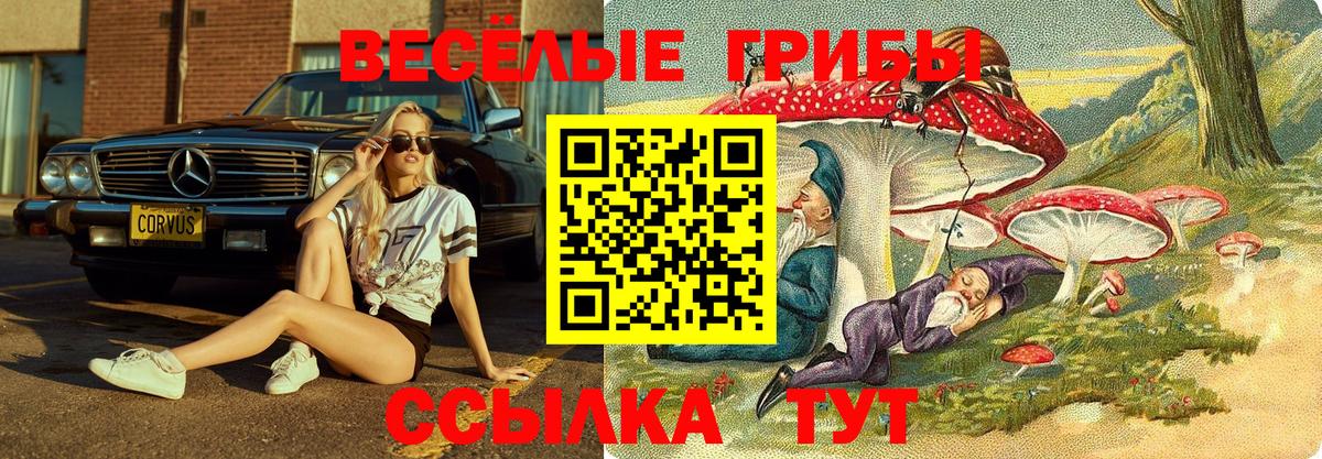 Псилоцибиновые грибы Cubensis  Вход с VPN  Новоалтайск 
